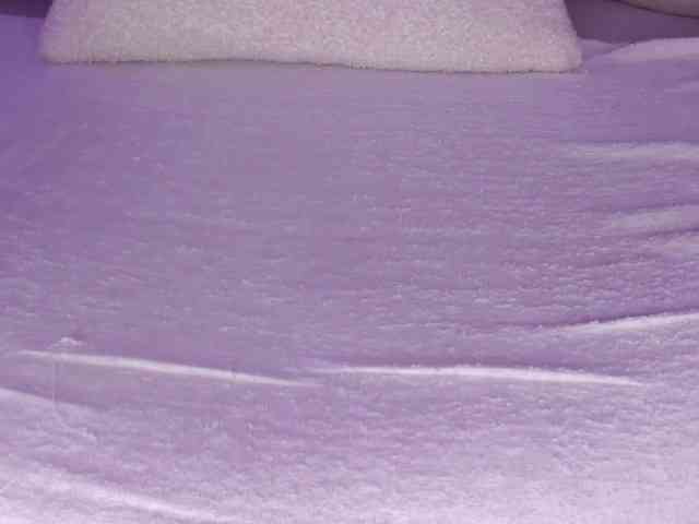 cutte-hanna18 webcam