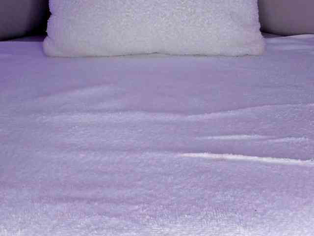 cutte-hanna18 webcam