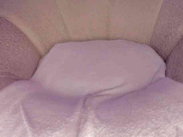 cutte-hanna18 webcam