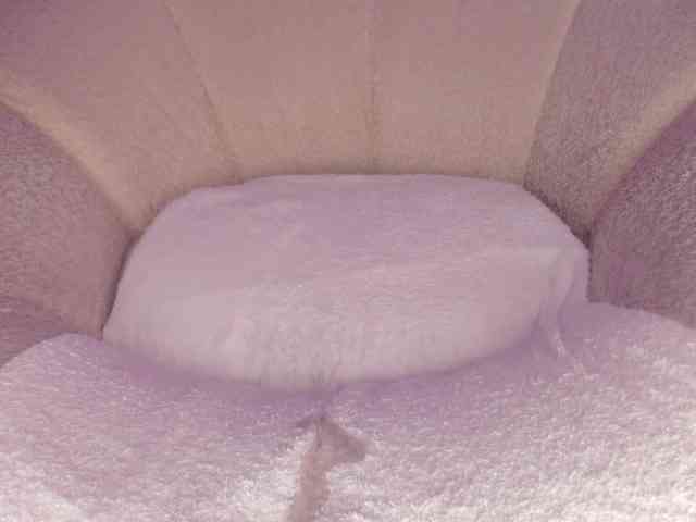 cutte-hanna18 webcam