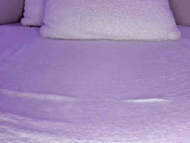 cutte-hanna18 webcam