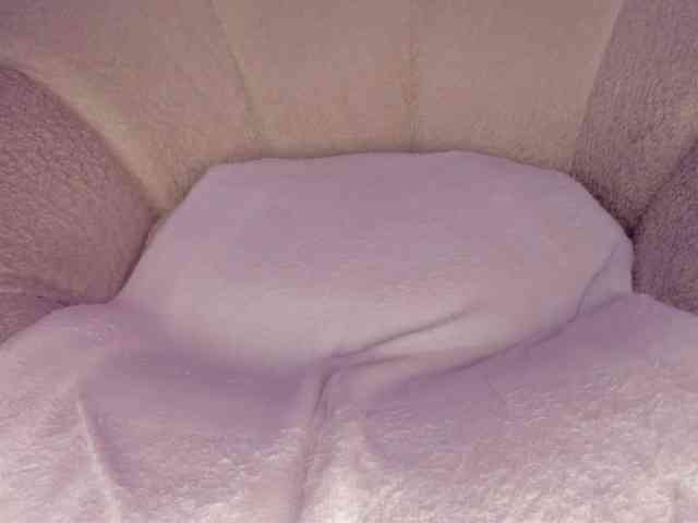 cutte-hanna18 webcam