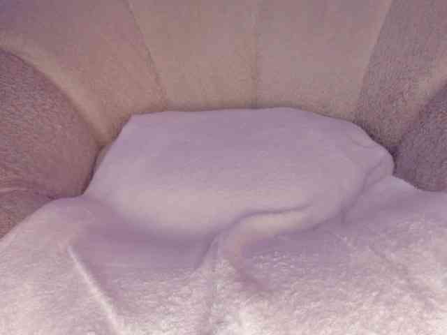 cutte-hanna18 webcam