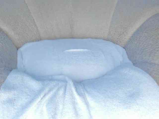 cutte-hanna18 webcam