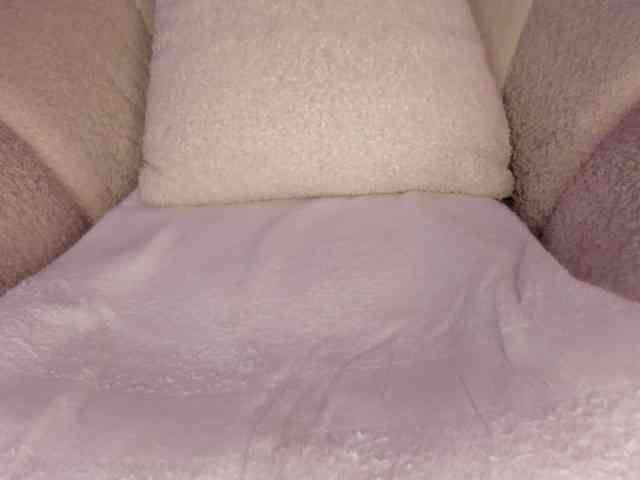 cutte-hanna18 webcam