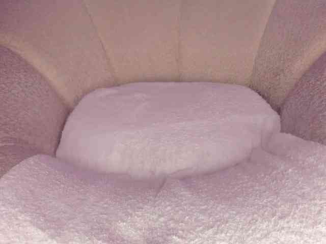 cutte-hanna18 webcam