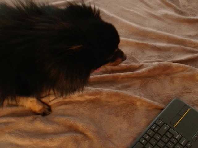 EmilyxJames's BongaCams show and profile