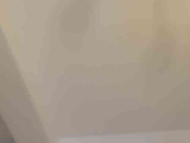 EmilyxJames webcam