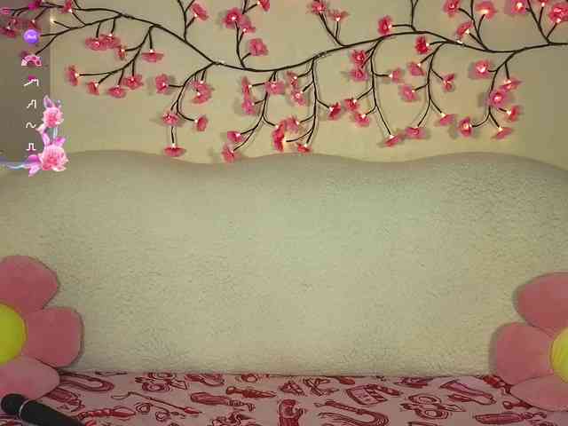 beep-beep-bitch webcam