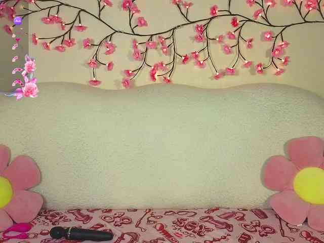 beep-beep-bitch webcam