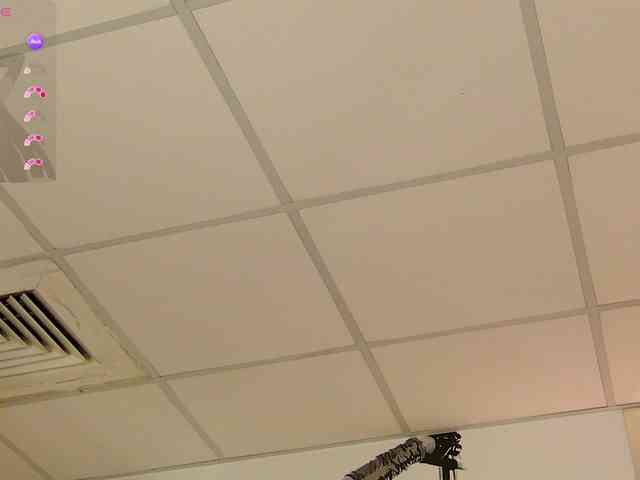 MaddyHeart webcam