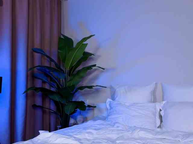 Slemgem Live Webcam on BongaCams