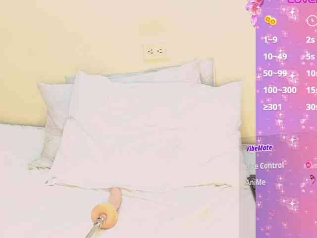 PENPU webcam