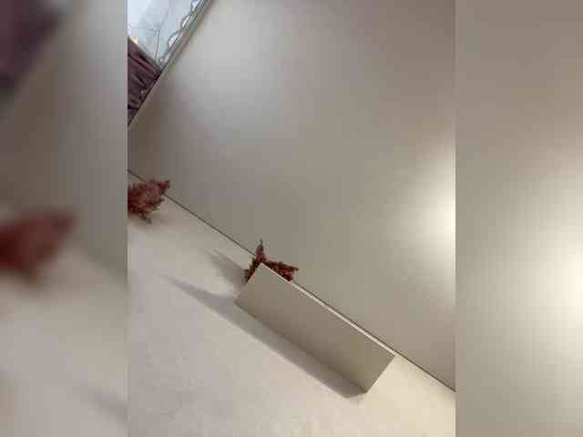 RadaRay55 Live Webcam on BongaCams