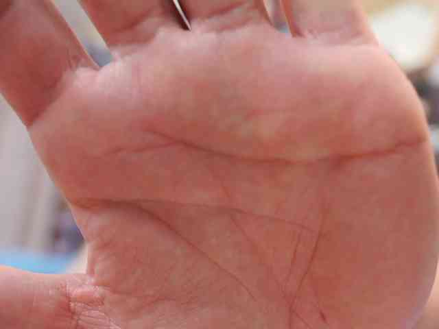 MuscularBear MuscularBear