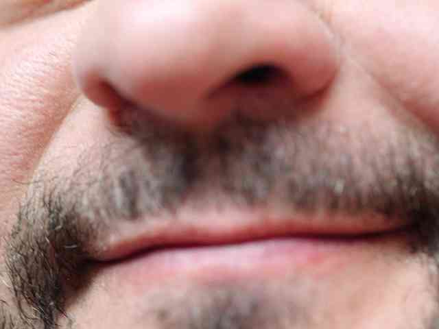 MuscularBear MuscularBear