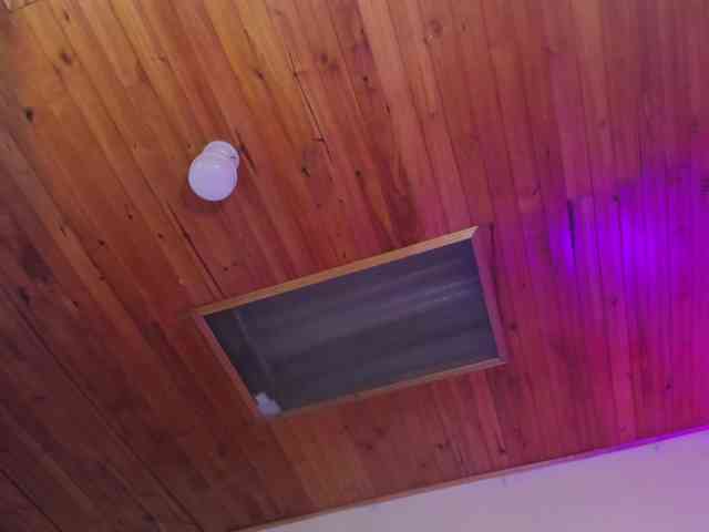 emiliclark webcam