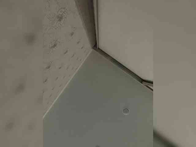 SonyaXForster webcam