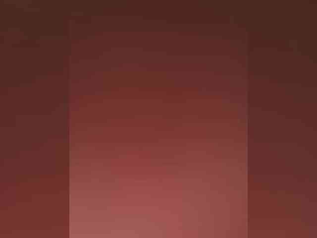 SonyaXForster webcam