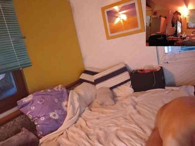 JoyplayingToy webcam