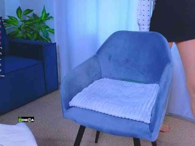 Lisa-art webcam