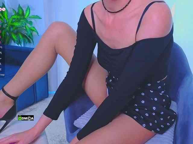 Lisa-art webcam