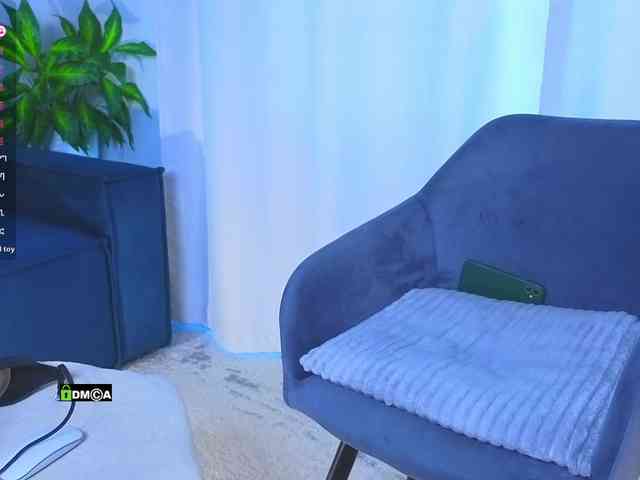 Lisa-art webcam
