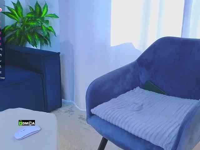 Lisa-art webcam