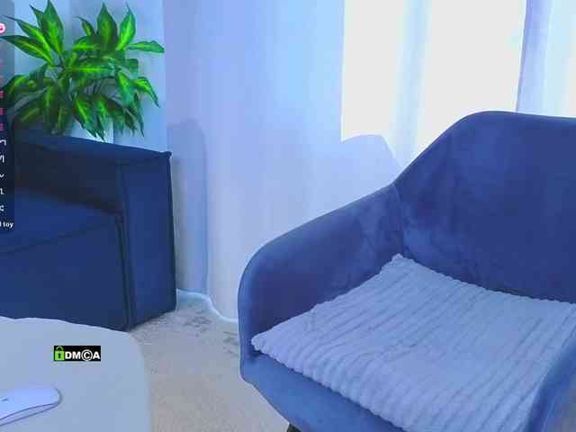 Lisa-art webcam