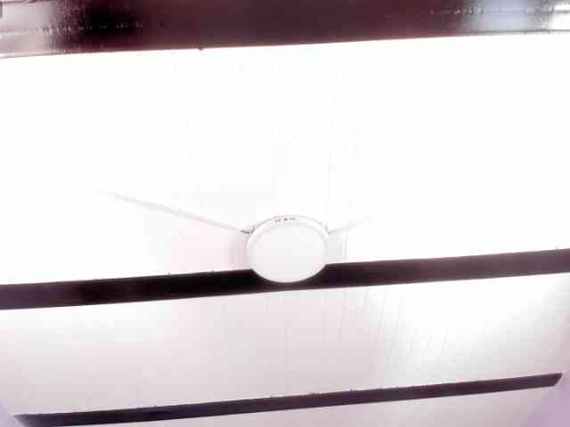 sofytailor webcam