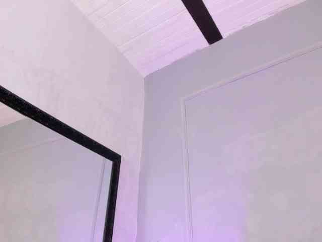 sofytailor webcam