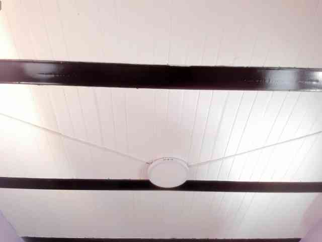 sofytailor webcam