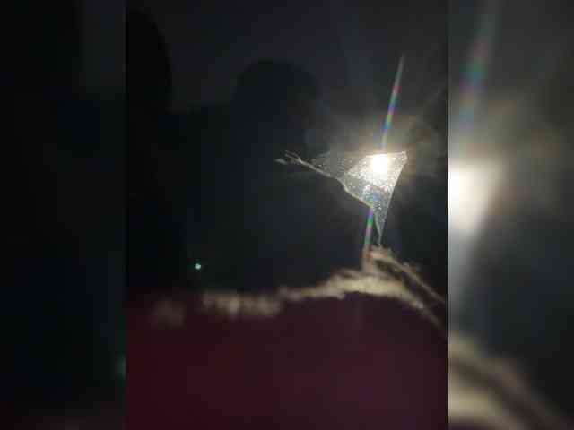 KynimenFalos KynimenFalos