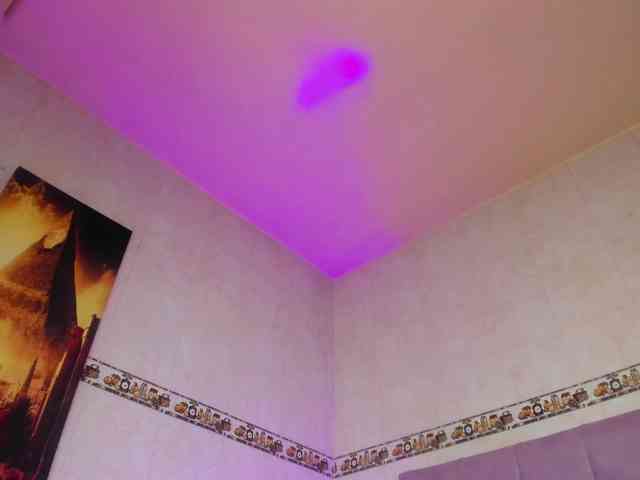 taylorlee webcam
