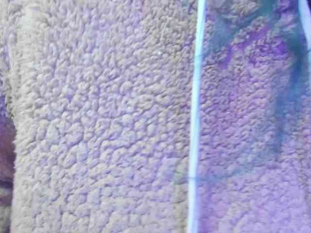 ReilyMelizza webcam