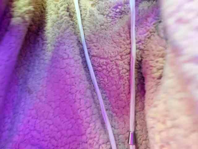ReilyMelizza webcam