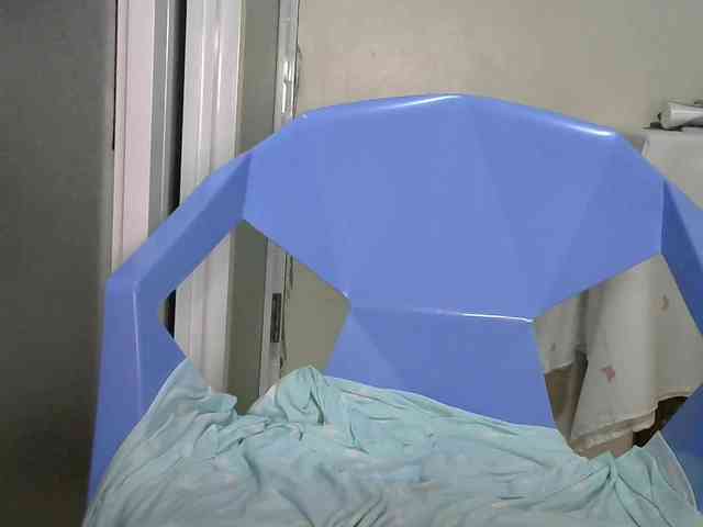 SallyDsally webcam