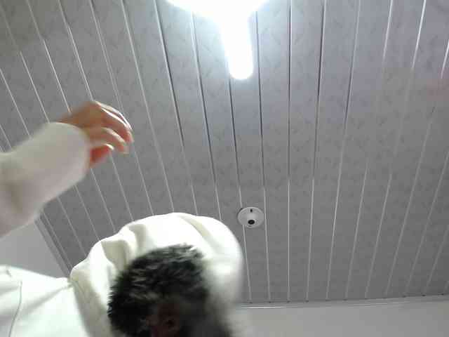 Teilor-Warner webcam