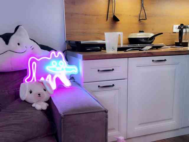Alisa-Cheshirovna webcam