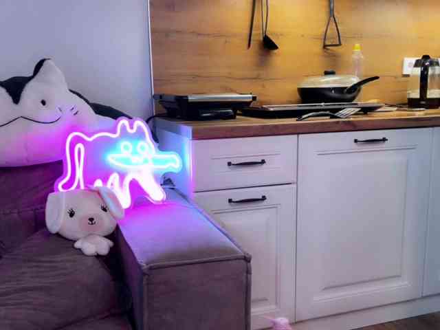 Alisa-Cheshirovna webcam