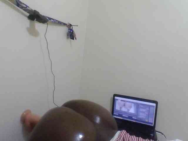 LYN-VEE webcam