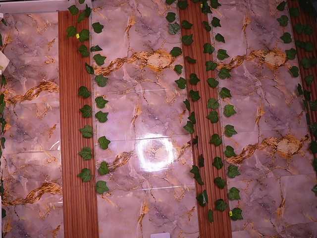 zoeyfox's BongaCams show and profile