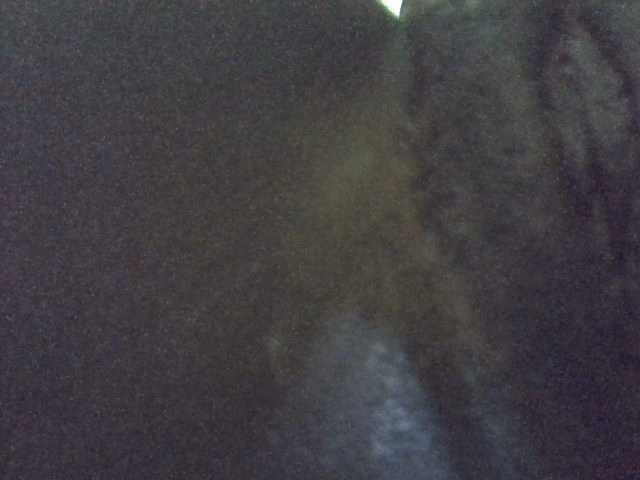 Preview of africanasaucy