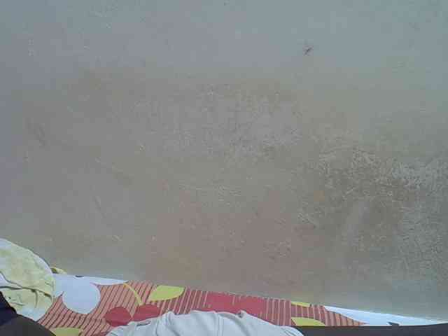 Africanasaucy webcam