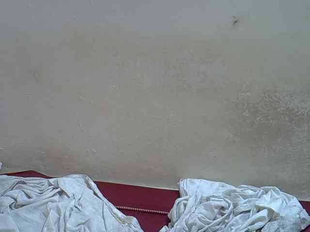 Africanasaucy webcam