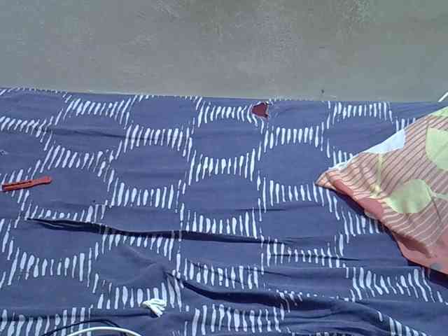 Africanasaucy webcam