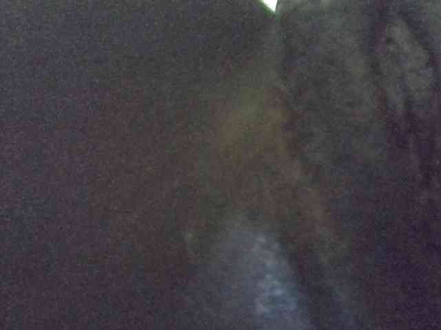 Africanasaucy Africanasaucy