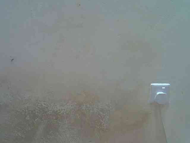 Africanasaucy webcam