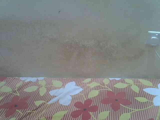 Africanasaucy webcam