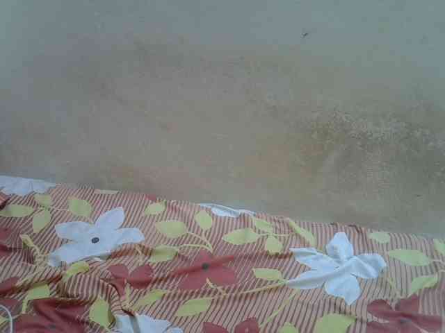 Africanasaucy webcam